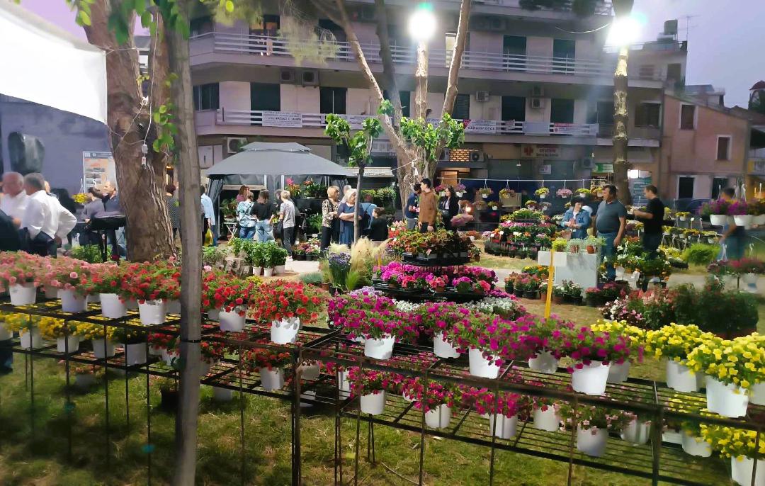 ΔΕΛΤΙΟ ΤΥΠΟΥ - «Χιλιάδες λάτρεις των λουλουδιών πλημμύρισαν για μία εβδομάδα την 22η Πανηλειακή Ανθοκομική Έκθεση Αμαλιάδας»