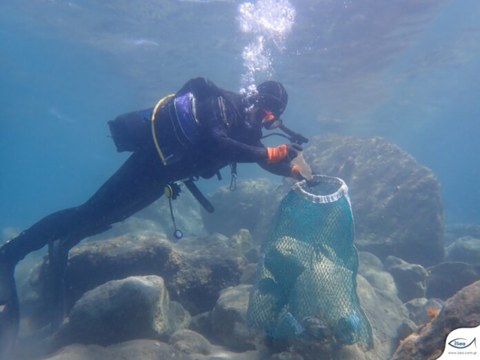 Δήμος Πύργου - Δράση υποβρύχιου καθαρισμού στο λιμάνι Κατακόλουτη Δευτέρα 27 Ιουνίου
